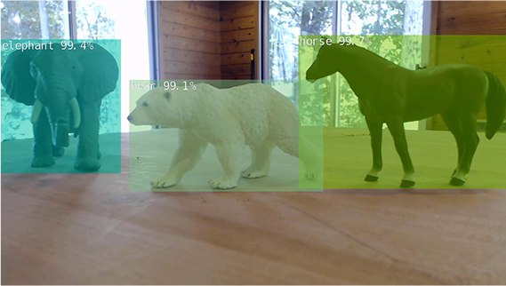 Object Detection Image