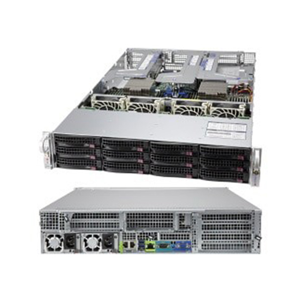SYS-2024US-TRT Server