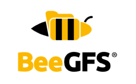 BeeGFS