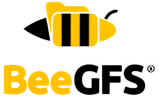 Why BeeGFS?