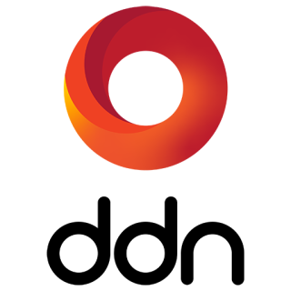 Why DDN Storage?